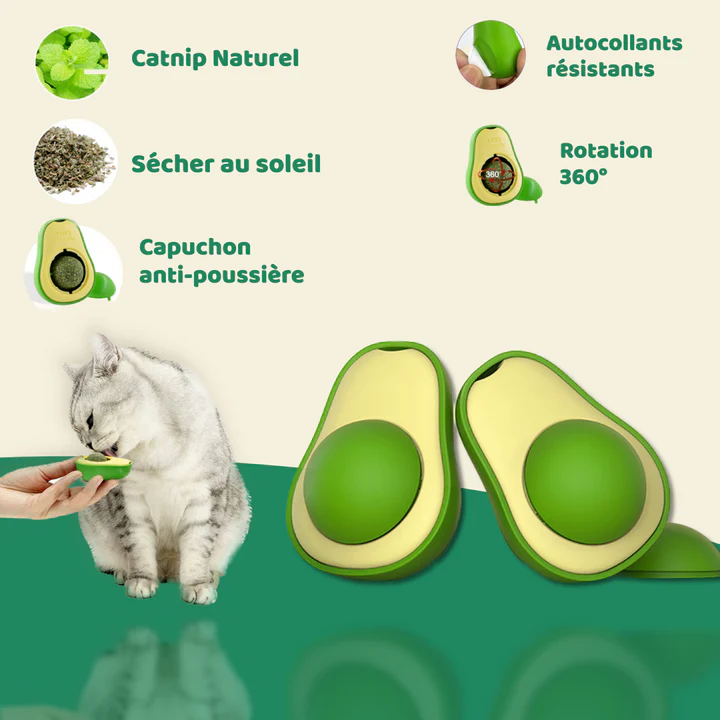 Jouet Avocat pour Chat