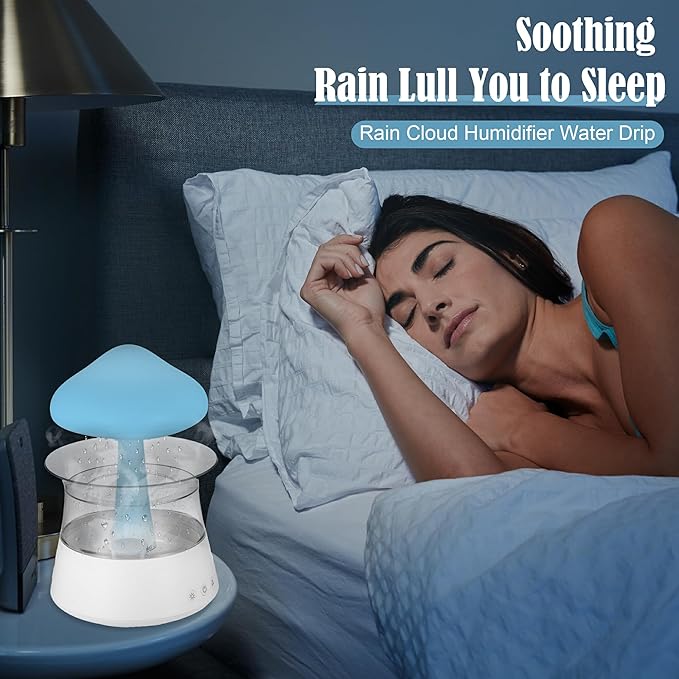 Humidificateur Portable pour la Maison et Le Bureau