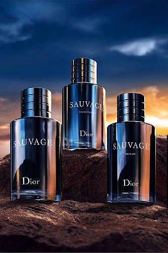 Coffret sauvage dior
