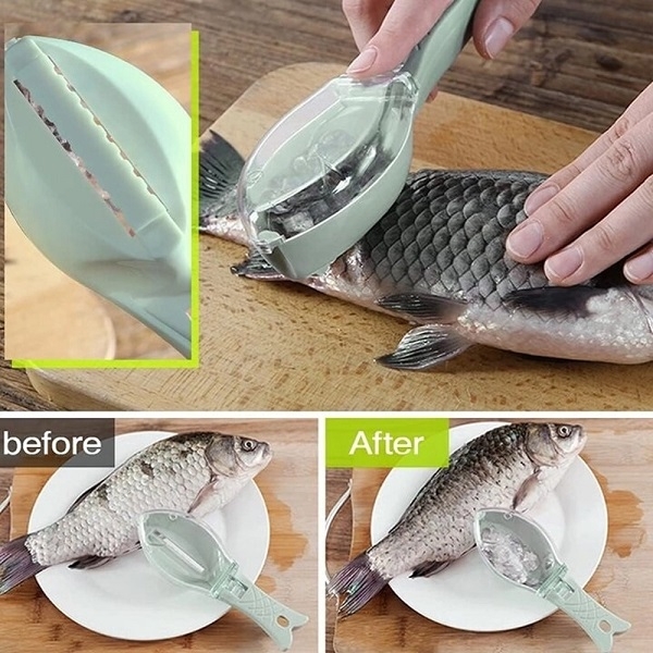 Grattoir à écailles de poisson