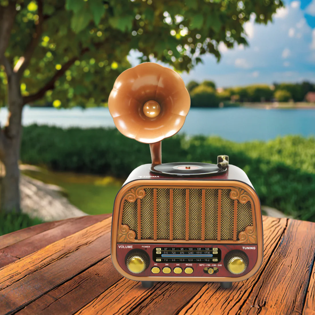Radio Bluetooth style antique