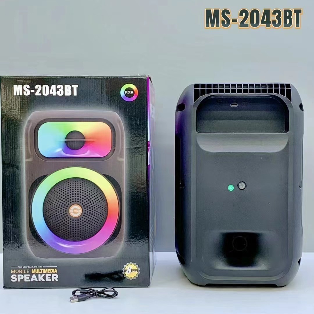 Haut-Parleur Portable Sans Fil 8 Pouces – Basses Puissantes & Micro Karaoké