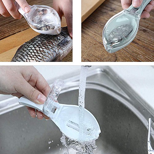 Grattoir pour poisson avec couvercle