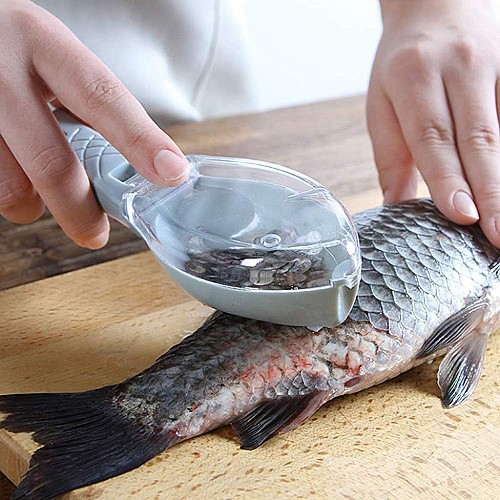 Grattoir pour poisson avec couvercle