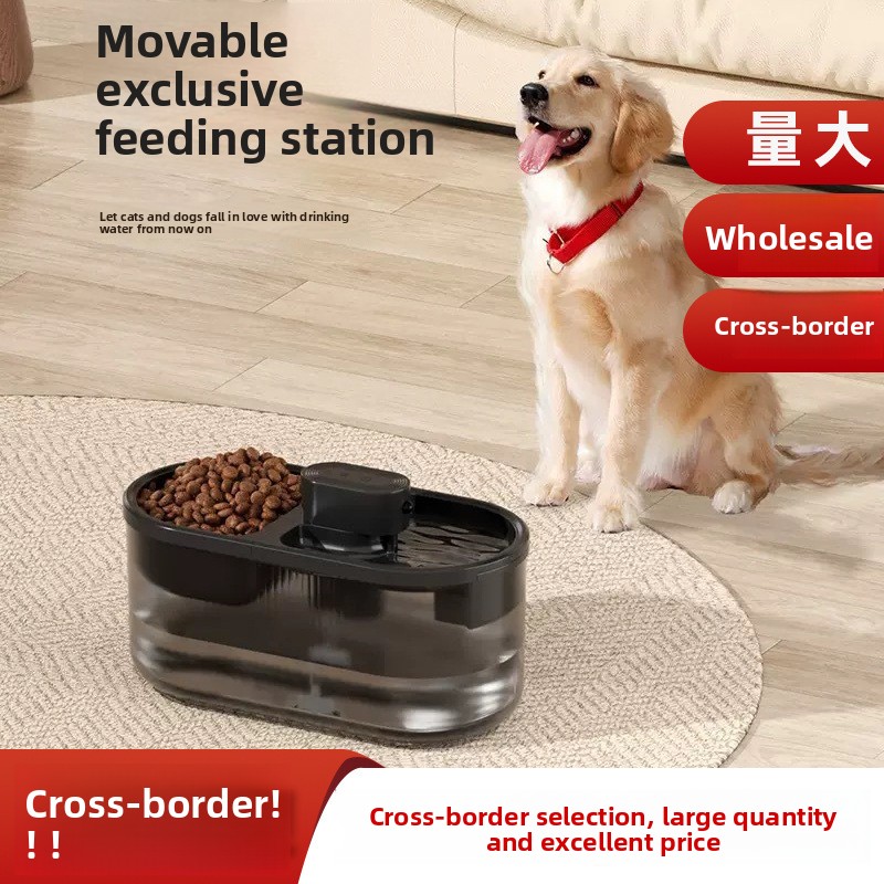 Distributeur d'eau intelligent 2-en-1 pour chiens et chats